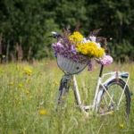 Apfel Tom über mich Radfahren kl a